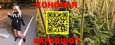 сатива Донецк