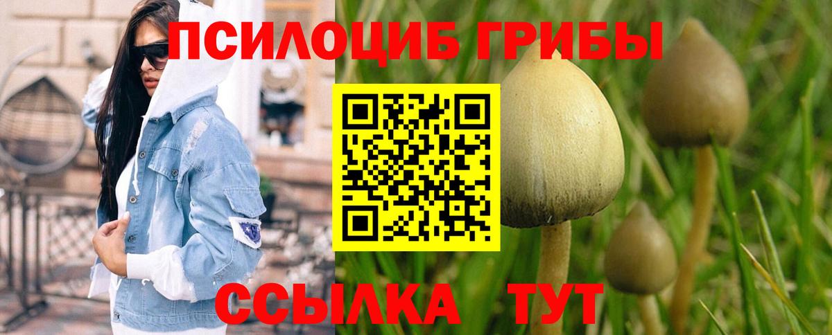 Псилоцибиновые грибы мухоморы Армавир